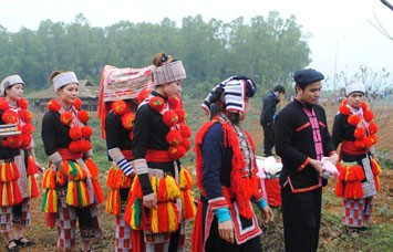 Couleur printanière des ethnies vietnamiennes - ảnh 1